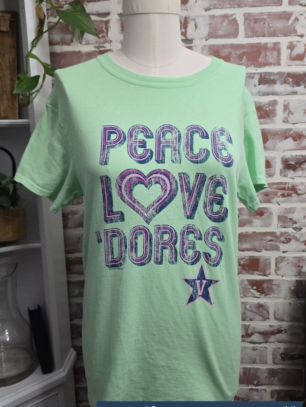 Peace Love Dores Graphic Tee - Mint Green